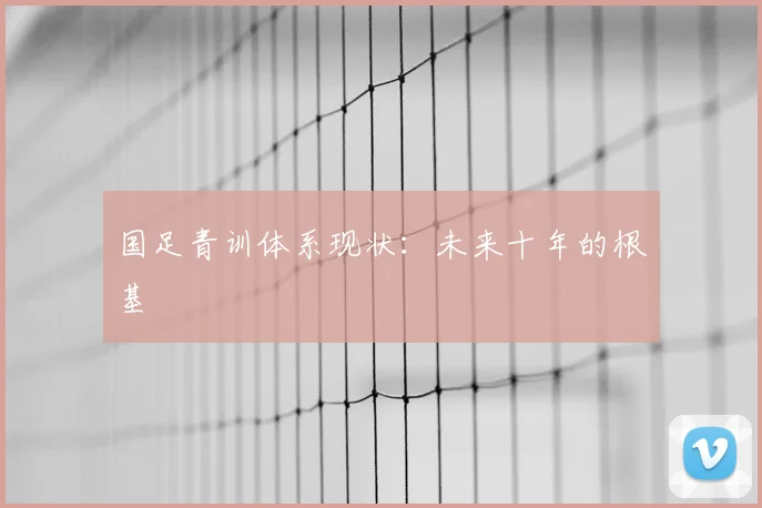 国足青训体系现状:未来十年的根基